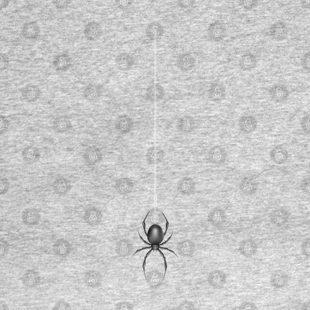 Spider Hanging From Web | Spider Hangs From Ceiling by benayache